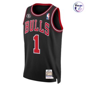 Chicago Bulls Limited Editon Basketball Jersey 4 1
